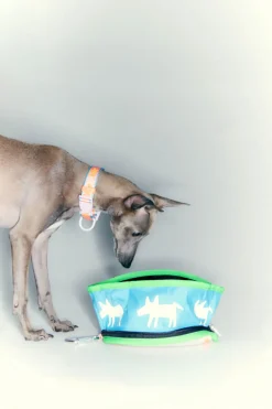 Online BIMBA Y LOLA Bebedero Mascota Logo Lola Azul